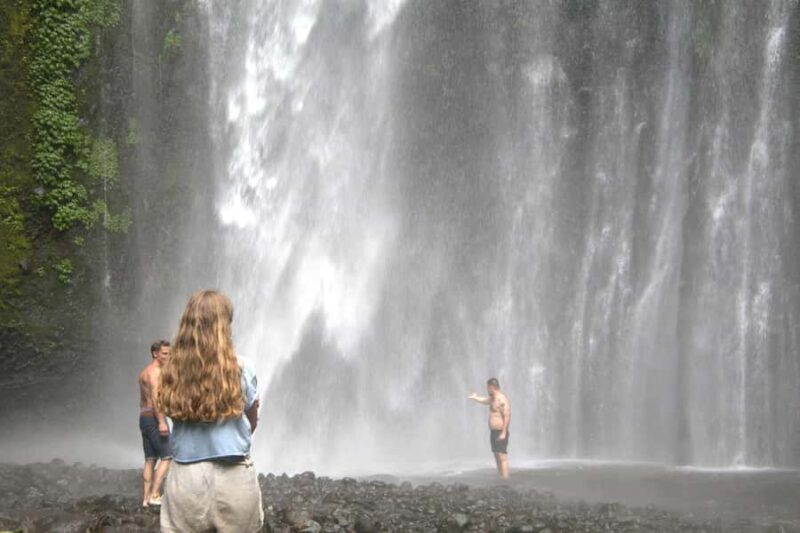North Lombok: Sendang Gile Waterfall & Senaru Village Tour - Who Will Love This Tour?