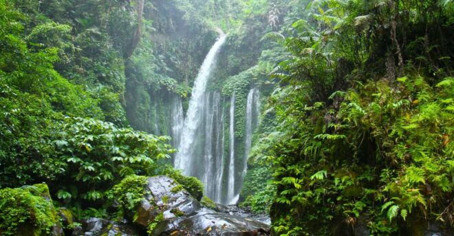 North Lombok: Sendang Gile Waterfall & Senaru Village Tour - Reservation Information