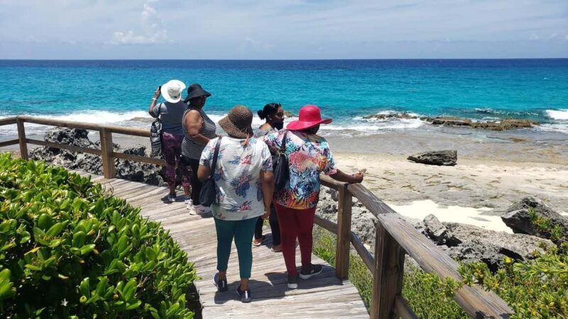 North Long Island 3 Hour Guided Land Tour - An Overview of the Experience