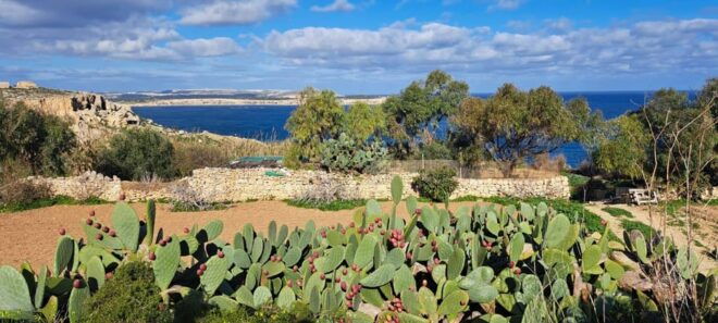 North Malta: Quad Bike Tour With Scenic Land, Sea & Swimming - Customer Ratings and Feedback