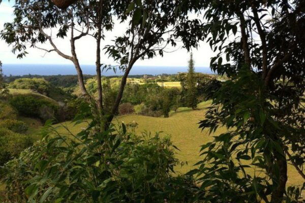 North Maui: 7 Line Zipline Adventure With Ocean Views - Overview of the Zipline Adventure