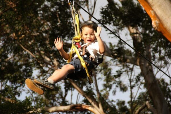 North Maui: 7 Line Zipline Adventure With Ocean Views - Highlights of the Ziplining Adventure