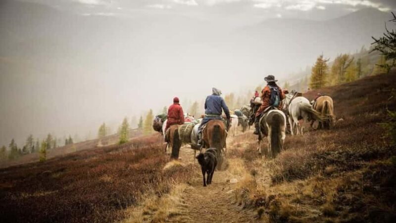 North Mongolia: 13-Day Reindeer Family Visiting Tour - A Detailed Look at the 13-Day North Mongolia Tour