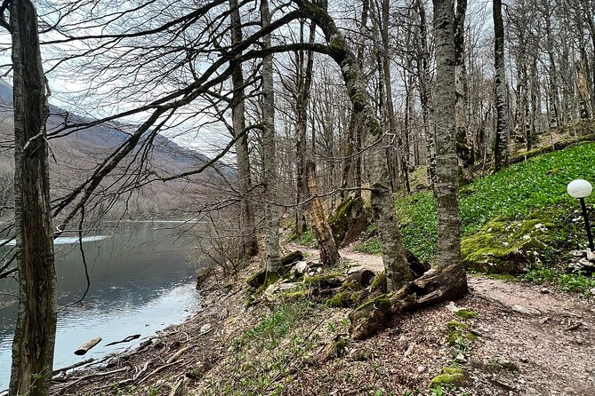 North Montenegro - Biogradska Gora - Lake & Moraca Canyon - Reviews Summary