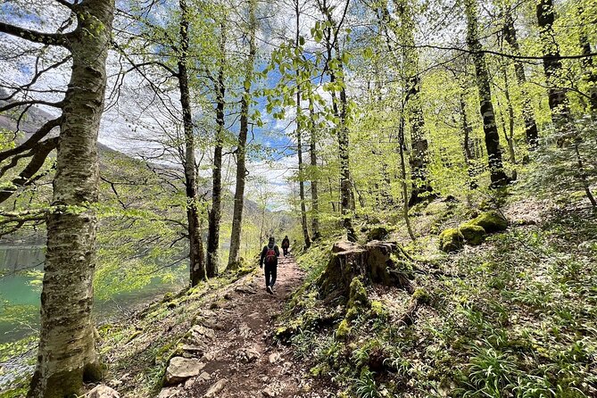 North Montenegro - Biogradska Gora - Lake & Moraca Canyon - Frequently Asked Questions