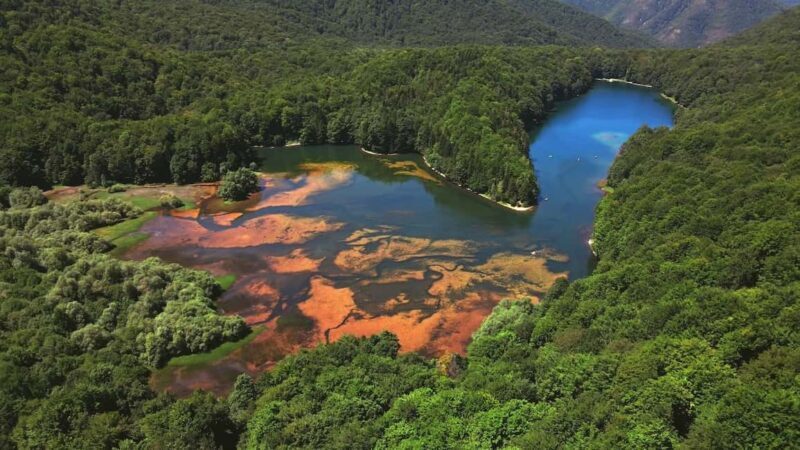 North Montenegro return trip - Biogradska Gora National Park - FAQ