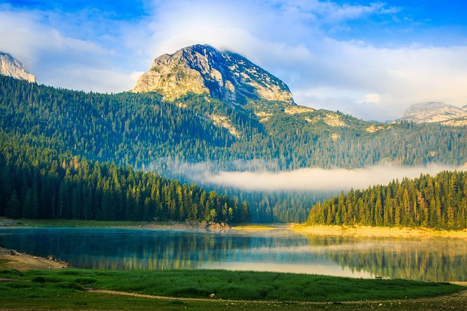North of Montenegro Private Tour - Tara Canyon & National Parks - Tour Itinerary and Highlights