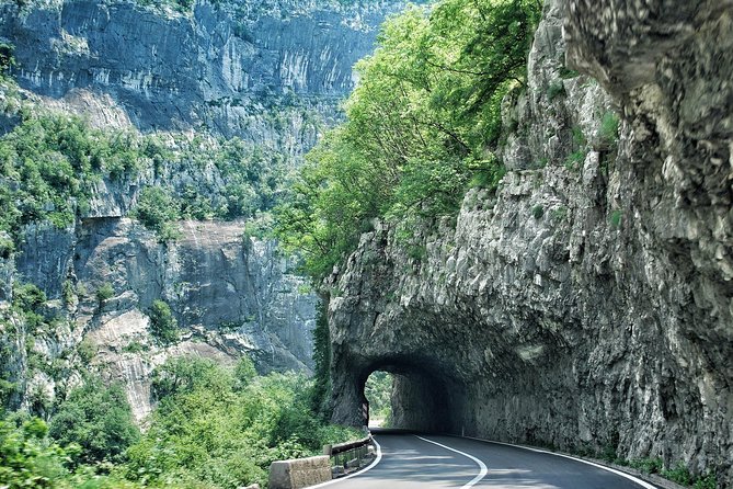 North of Montenegro Private Tour - Tara Canyon & National Parks - Booking Information and Pricing