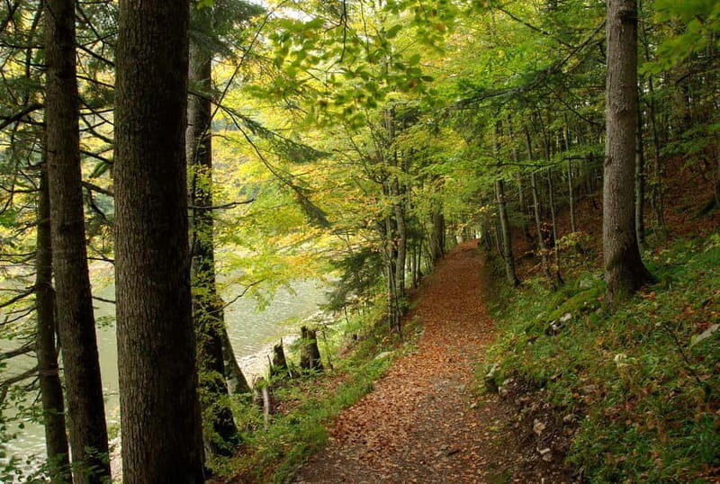 NORTH OF MONTENEGRO The heart of Montenegro! - Good To Know