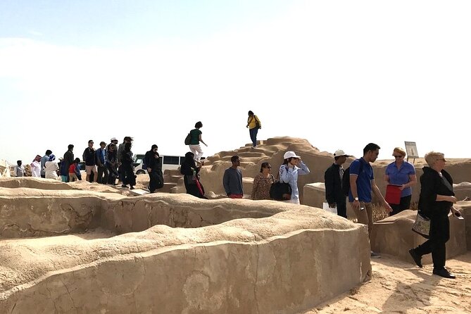 North of Qatar Al Khor the Purple Island Al Zubara Fort Mangrove Forest - Overview and Highlights