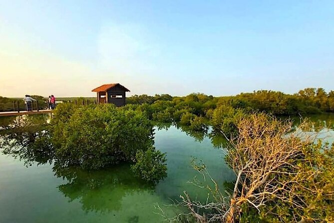 North of Qatar TourZubara Fort, Purple Island & Mangroves Colony - Tour Highlights