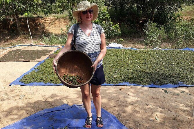 North Phu Quoc Island Off Road Adventure in a Classic Army Jeep - Practical Tips Before Booking