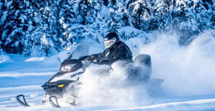 North Pole Alaska: Guided Fairbanks Snowmobile Tour - Experience