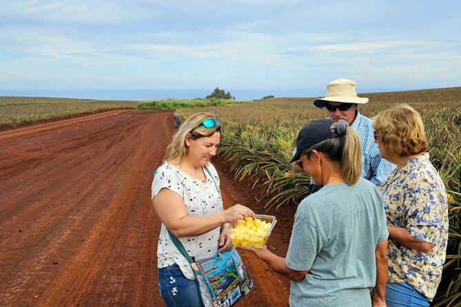 North Shore Dole Pineapple Farm Tour and Exclusive Oahu Day Tour - Common Questions