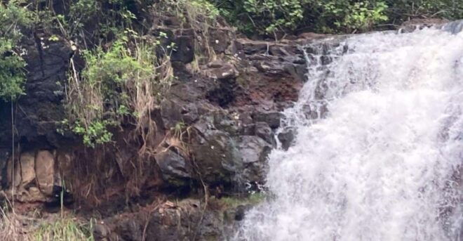 North Shore "Haleiwa & Waimea Falls Valley Of The Priests"! - Hiking in Waimea Valley