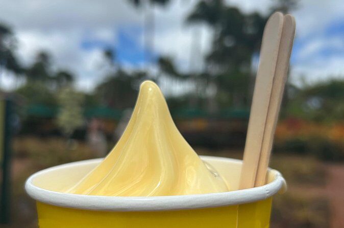 North Shore Highlight Tour - Practical Tips & Considerations