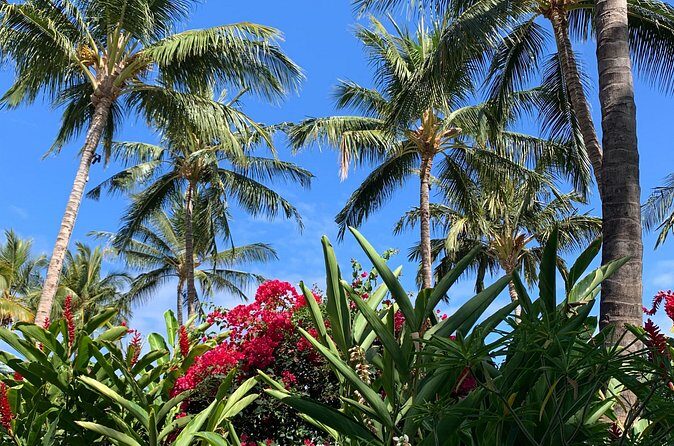 North Shore Highlight Tour - The Sum Up