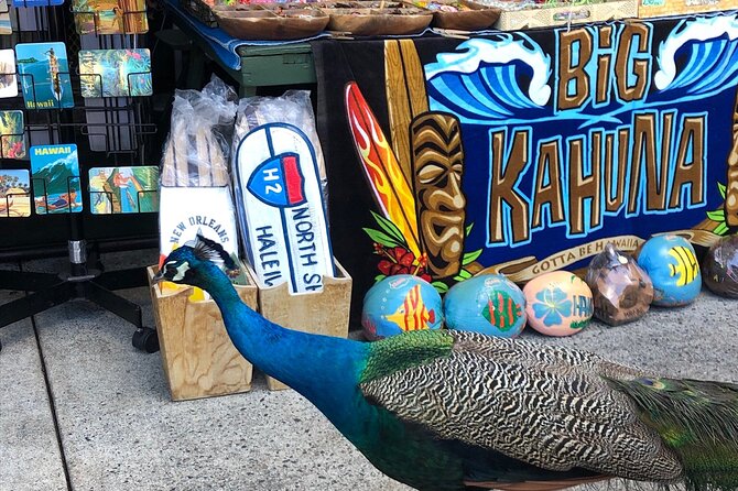 North Shore / Waimea, Falls Day & Swim With Turtles - Tour Details