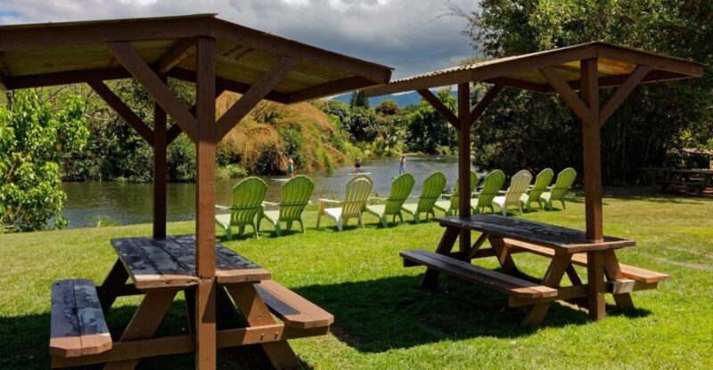 North Shore's best day! River, Turtles, Farm with Lunch - Good To Know