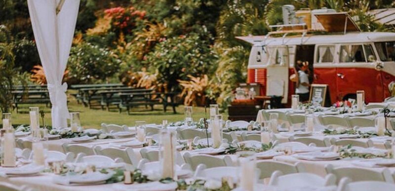 North Shore's best day! River, Turtles, Farm with Lunch - The Sum Up