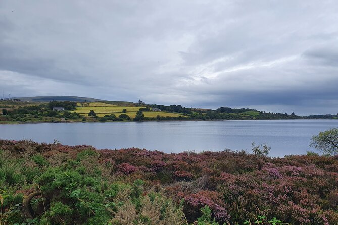 North & South Ireland Private Transport Trips for up to 8 People - Cancellation Policy & Pricing