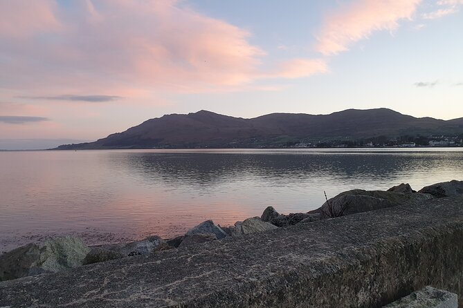 North & South Ireland Private Transport Trips for up to 8 People - The Sum Up