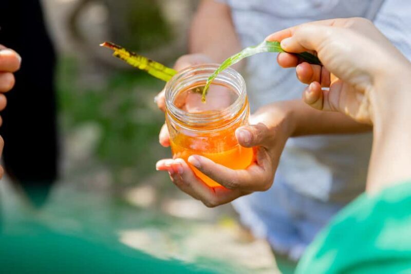 North Stradbroke Island: Minjerribah Cultural Driving Tour - FAQs