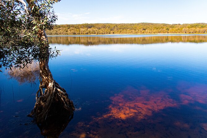 North Stradbroke Island Private Tour With Pickup - Tour Overview and Activities