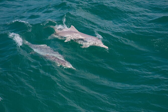 North Stradbroke Island Private Tour With Pickup - Inclusions