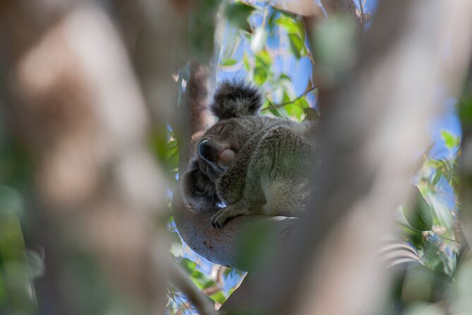 North Stradbroke Island Private Tour With Pickup - Meeting and Pickup