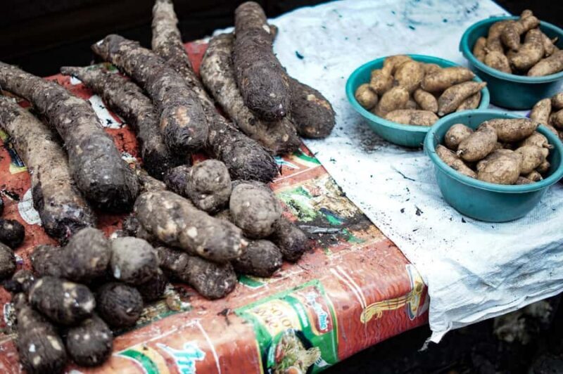 North Sulawesi, Tomohon: Minahasa Culture & Nature Tour - Culinary Highlights and Local Flavors