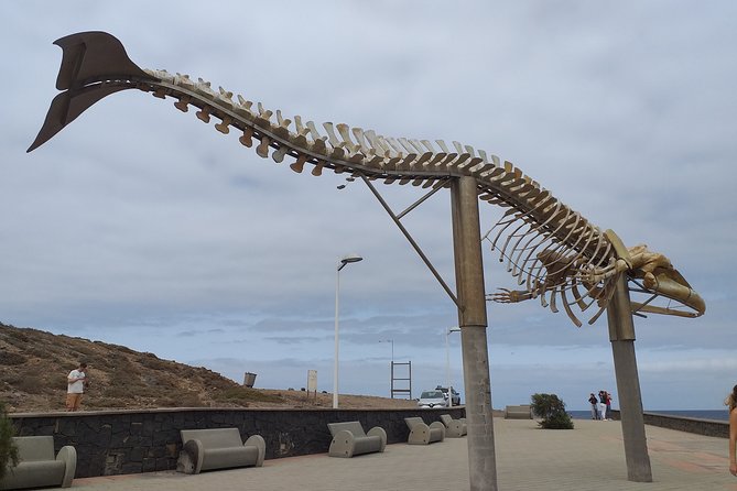 North Tenerifes Mysteries - Delve Into the Secrets of Tenerifes Ancient Ruins