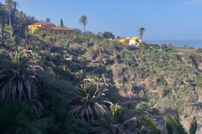 North Tenerifes Mysteries - Discovering the Untold Stories of North Tenerifes History