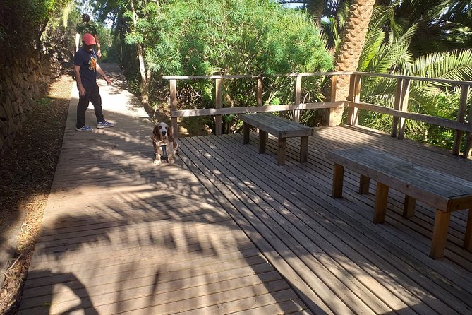 North Tenerifes Mysteries - The Sum Up