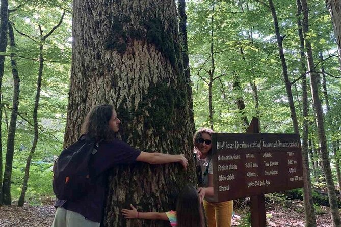 NORTH TOUR Np Biograd Gora-Lake-Moraca Canyon & Monastery-Kolasin - The Sum Up
