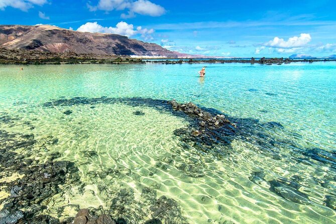North Tour, Viewpoint, Brunch, White Beach & Lava Pools - Local Wildlife and Flora