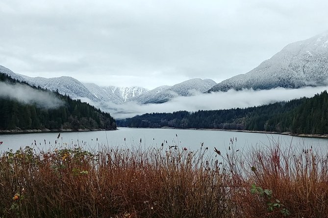 North Vancouver Discovery Private Tour - Tour Highlights