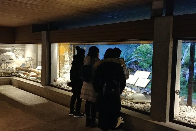 North Vancouver Discovery Private Tour - Itinerary and Flexibility