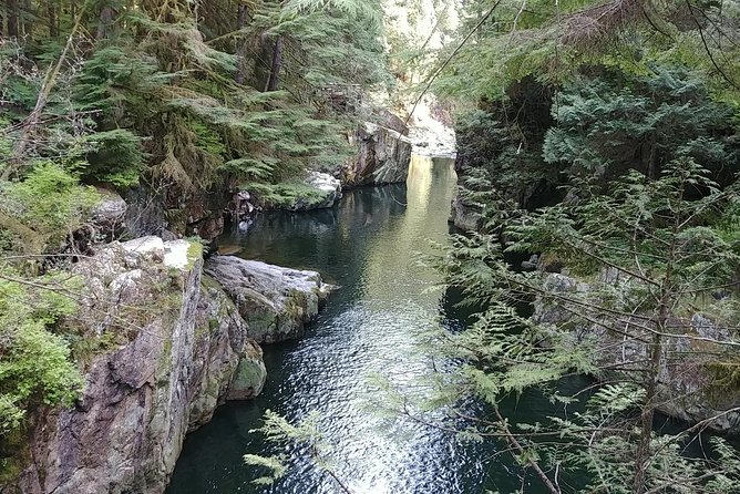 North Vancouver Discovery Private Tour - Reviews and Testimonials
