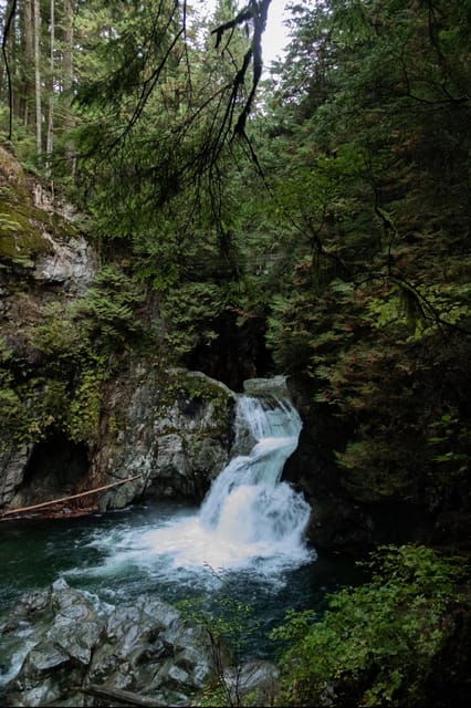 North Vancouver: Lynn Canyon Guided Hike - Suspension Bridge and Temperate Rainforest