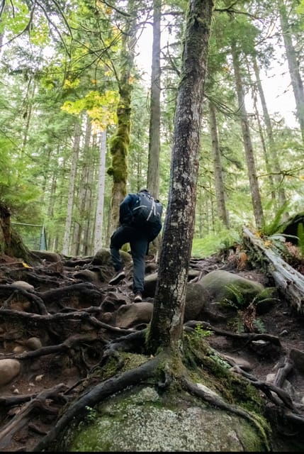 North Vancouver: Lynn Canyon Guided Hike - Refreshing Swim Opportunities