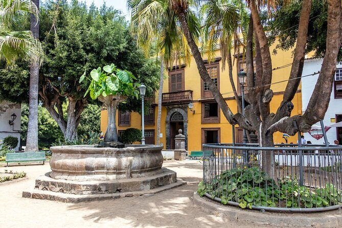 North West Tenerife Secrets - Tips for Making the Most of This Tour