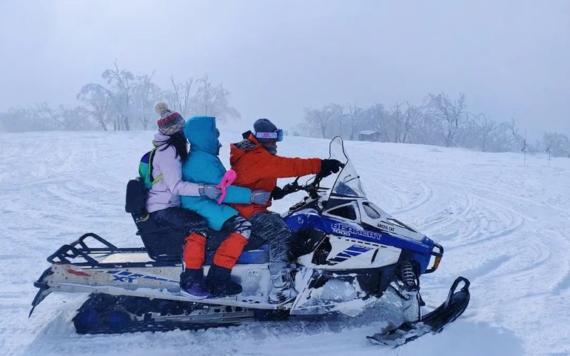 Northeast Harbin Yabuli Snow Village Ice and Snow Fairy Tale 4-Day Tour - The final day is scenic, busy and long