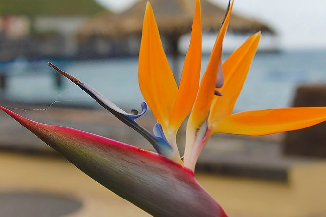 Northeast Tour - Itinerary Highlights