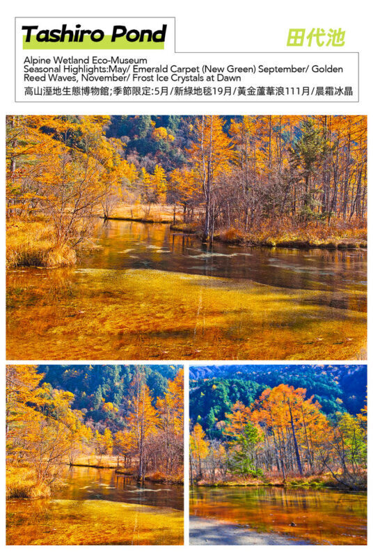 Northern Alps Scenic View - Kamikochi Day Trip: Kappa Bridge, Taisho Pond, Azusa River Light Hike (Round trip from Nagoya) - Myojin Pond: beautiful, but mind the return time