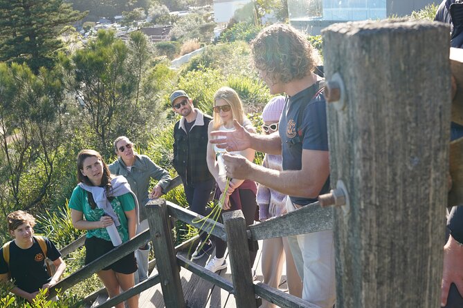 Northern Beaches Surf and Indigenous Guided Tour - Surfing Lessons