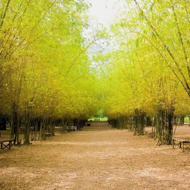 Northern Cebu Adventure Tour - Discovering Medellin’s Instagrammable Gems