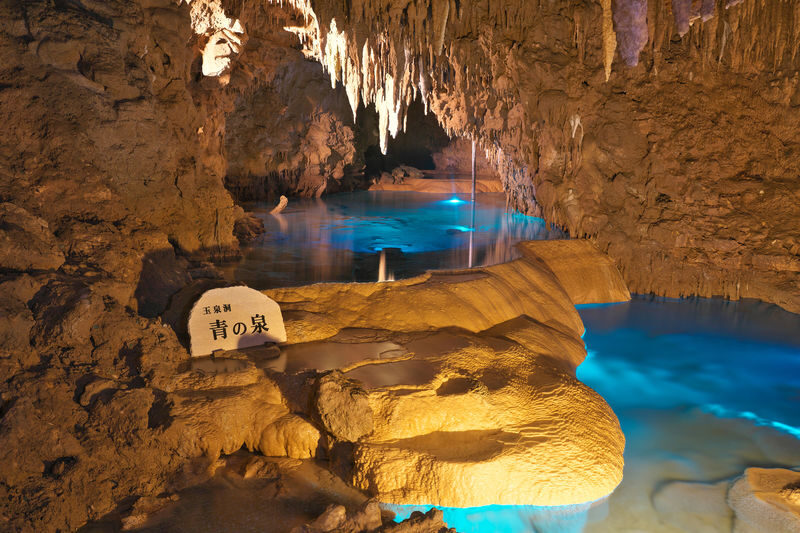 Northern/Central/Southern Okinawa One Day Trip - Northern Okinawa: big views and a major aquarium
