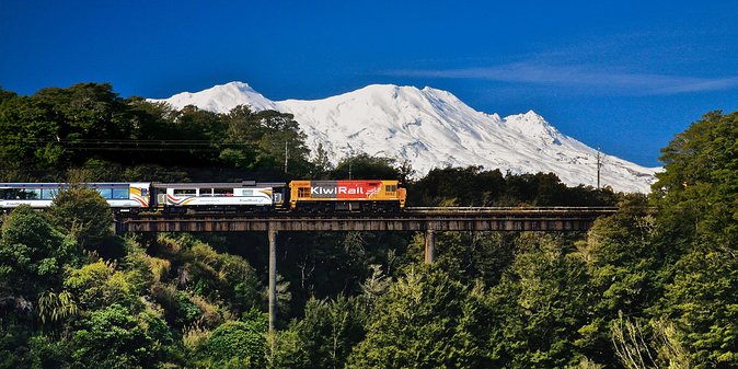 Northern Explorer Train Journey From Wellington to Auckland - Highlights of the Journey