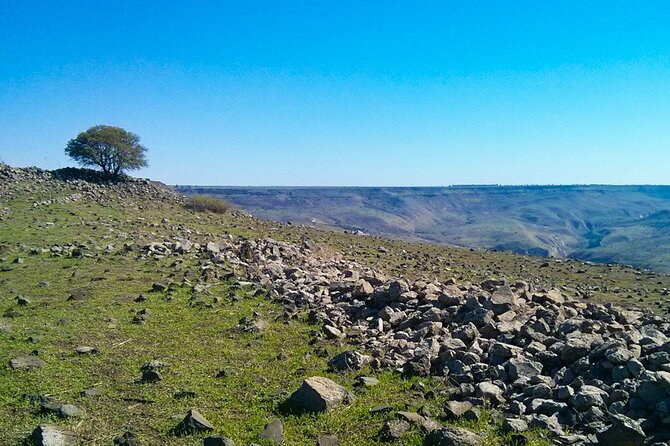 Northern Highlights - From the Sea of Galilee to The Golan Heights - Transportation Details